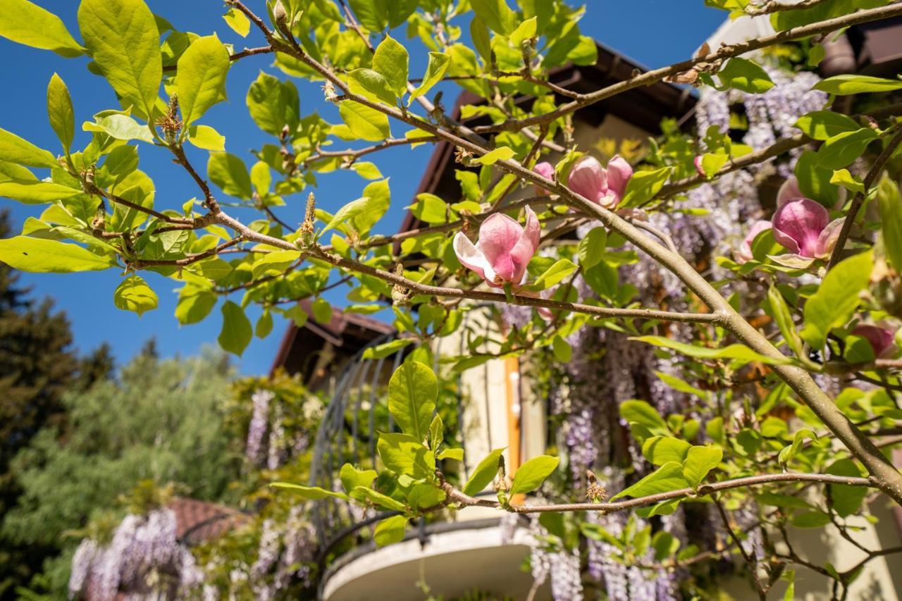 Apartamenty Miranda Kudowa Zdroj Luaran gambar